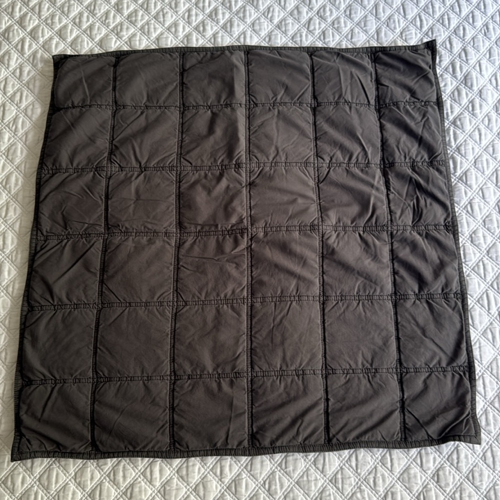 West Elm Pillow Euro Shams
